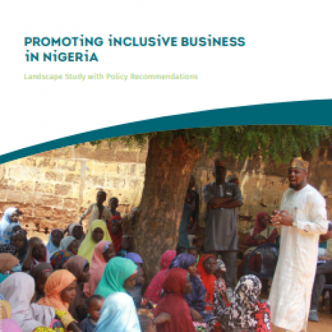 Promoting Inclusive Business in Nigeria